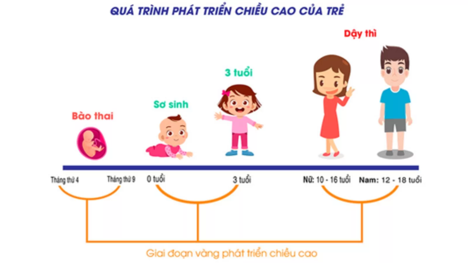 Giai đoạn vàng phát triển chiều cao cho trẻ